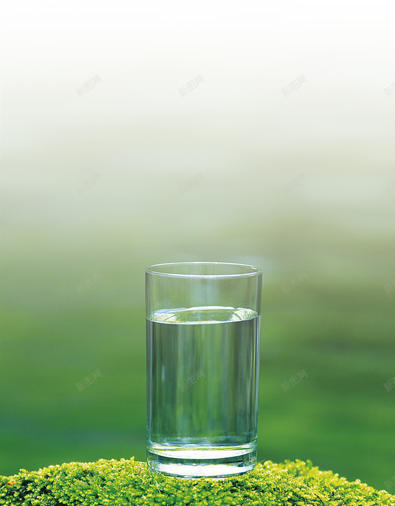 绿色树叶上的白水杯背景素材psd设计背景_新图网 https://ixintu.com 小清新 水杯 海报 绿色 背景 平淡 文艺 简约