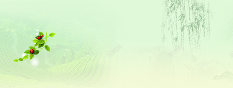 淘宝清新详情页海报背景psd设计背景_新图网 https://ixintu.com 详情页海报 垂柳 树叶 清新 背景 淘宝 文艺 小清新 简约