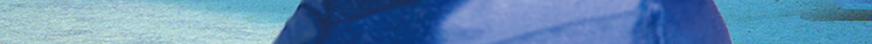 毕业季青春背景模板psd设计背景_新图网 https://ixintu.com 毕业季青春 奋斗 年轻 美丽 青春 致青春 毕业 水彩 海报 平面 广告 背景 PSD 素材 模板