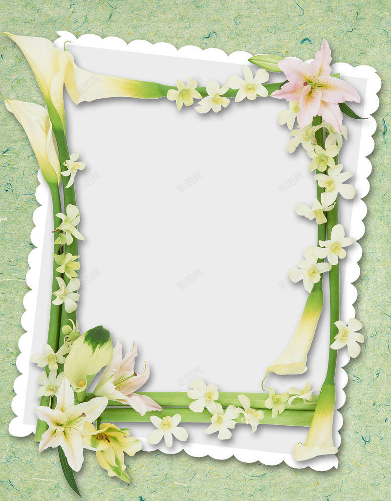 相框相册简约花朵叶子psd设计背景_新图网 https://ixintu.com 叶子 相册 相框 简约 花朵 小清新 文艺 百合花 马蹄花