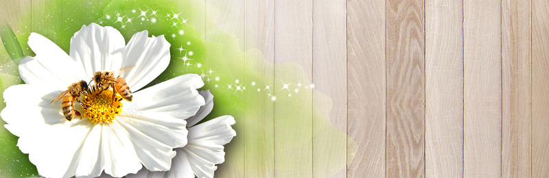 花朵蜜蜂简约背景psd设计背景_新图网 https://ixintu.com 简约背景 叶子 绿色 花朵 蜜蜂 白色 海报banner