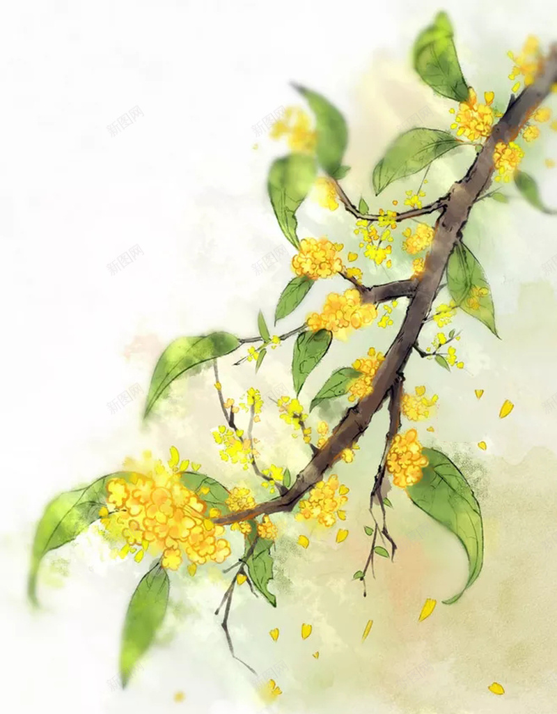 手绘插画海报背景psd设计背景_新图网 https://ixintu.com 手绘 插画 树干 树枝 清新 菊花 黄色 纯色 白色 树叶