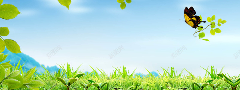 春文艺清新蓝色淘宝海报背景jpg设计背景_新图网 https://ixintu.com 春季新品 女装 春夏 春天 春季 旅游 春装 春游 叶子 青草 春暖花开 校园 活力 服饰 春季促销 新春上市