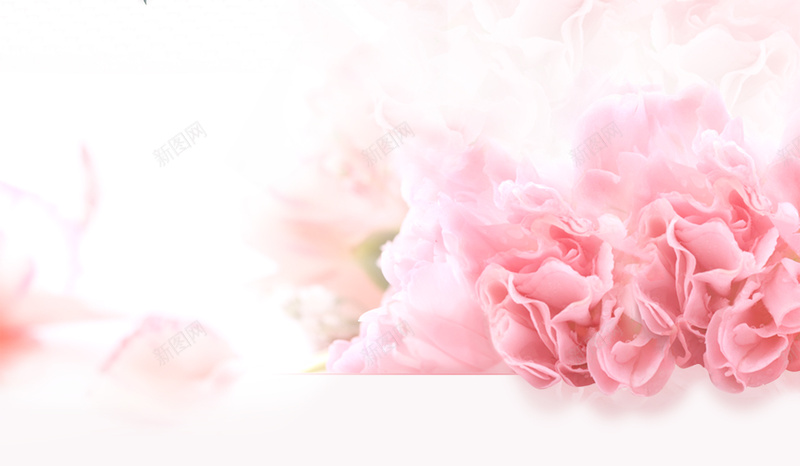 母亲节康乃馨唯美海报背景psd设计背景_新图网 https://ixintu.com 母亲节 康乃馨 唯美 粉色 座椅 汽车 海报 背景