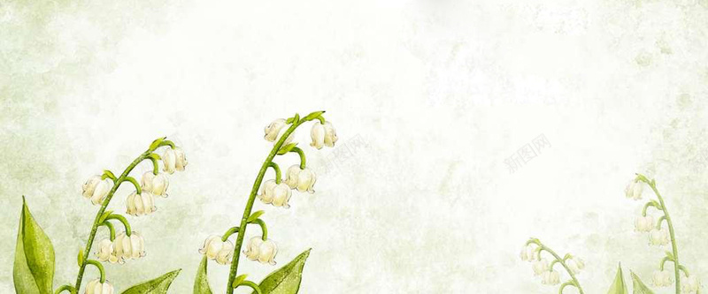 兰花手绘水彩插画背景jpg设计背景_新图网 https://ixintu.com 手绘花卉 手绘鲜花 花卉插画 花插画 马蹄莲 手绘花朵 源文件 马蹄莲素材下载 马蹄莲模板下载 马蹄莲插画 手绘马蹄莲 手绘花卉插画 海报banner 文艺 小清新 简约
