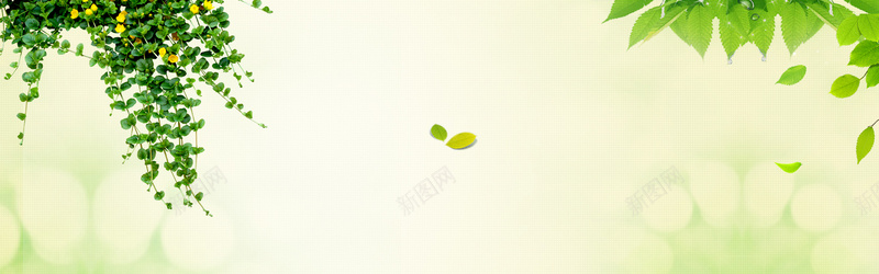 春季女装清新绿色淘宝海报背景psd设计背景_新图网 https://ixintu.com 春季新品 春天 春季 春夏 女装 淘宝 旅游 春装 春游 报春 叶子 欧式 立春 春暖花开