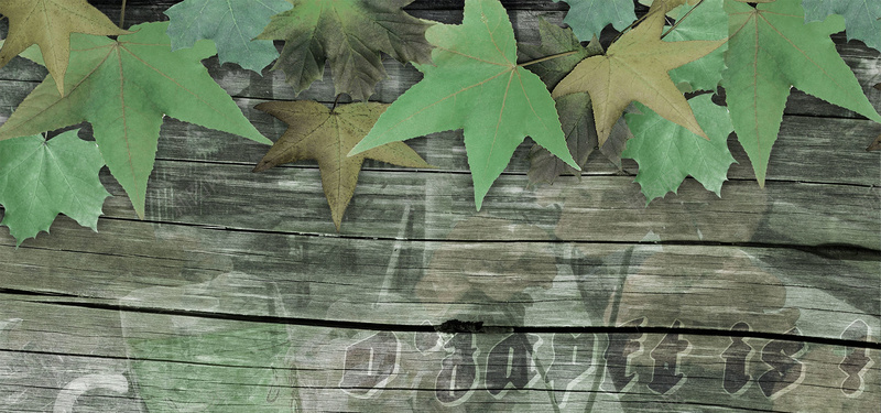 木板树叶淘宝背景jpg设计背景_新图网 https://ixintu.com 木板 枫叶 树叶 淘宝 背景 文艺 海报banner