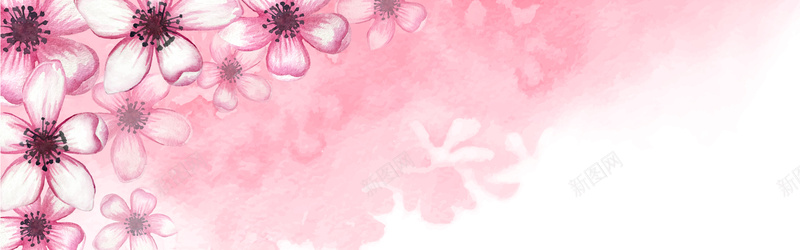 粉色水彩梅花背景背景