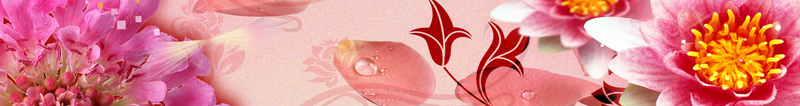 浪漫女性节日背景psd设计背景_新图网 https://ixintu.com 38 妇女节 花朵 唯美 浪漫 白色 梦幻