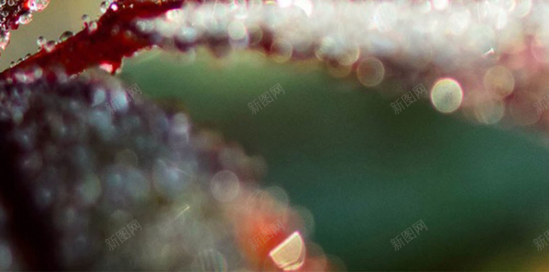 白露H5素材背景jpg设计背景_新图网 https://ixintu.com 白露 节气 水珠 中国风 二十字节气 H5素材