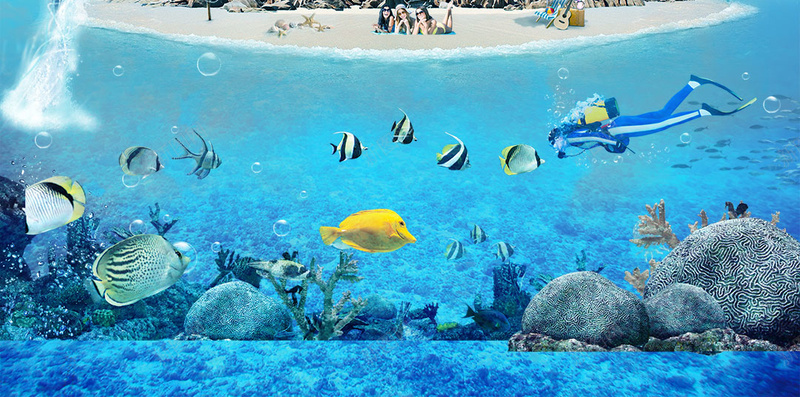 大海海滩海底潜水宣传H5背景素材psd设计背景_新图网 https://ixintu.com 促销 大海 宣传H5背景素材 旅游 旅行 海底 海滩 海豚 海里游泳 深海探险 清凉 清新 潜水 热带鱼 看海