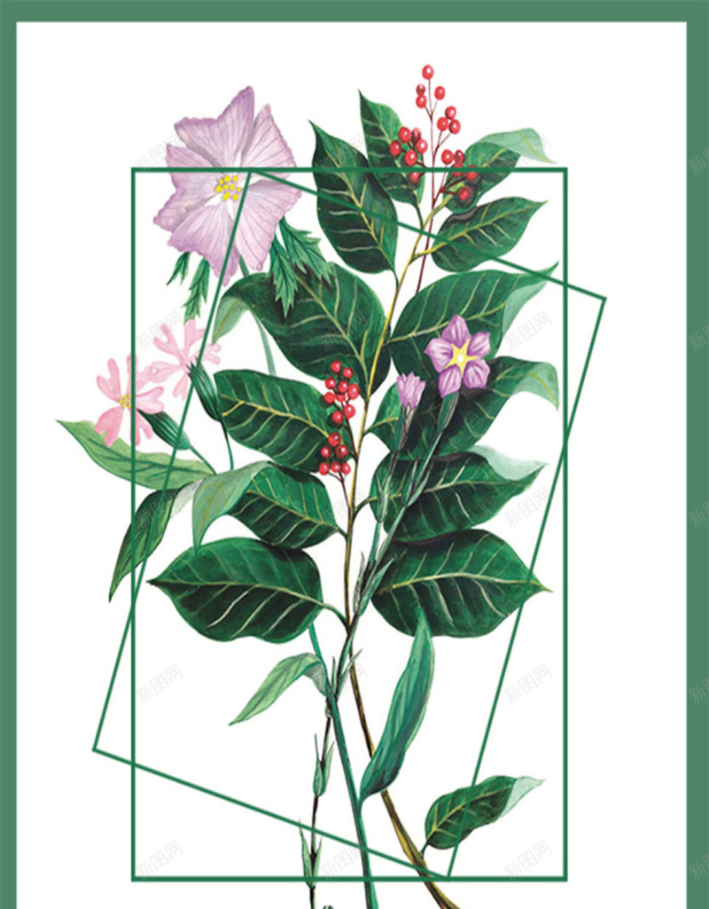 手绘小清新叶子植物花草海报psd设计背景_新图网 https://ixintu.com 清新自然 清新花草 叶子 木本 植物 文艺 小清新 简约
