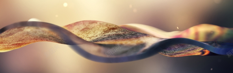 唯美的树叶特写jpg设计背景_新图网 https://ixintu.com 海报banner