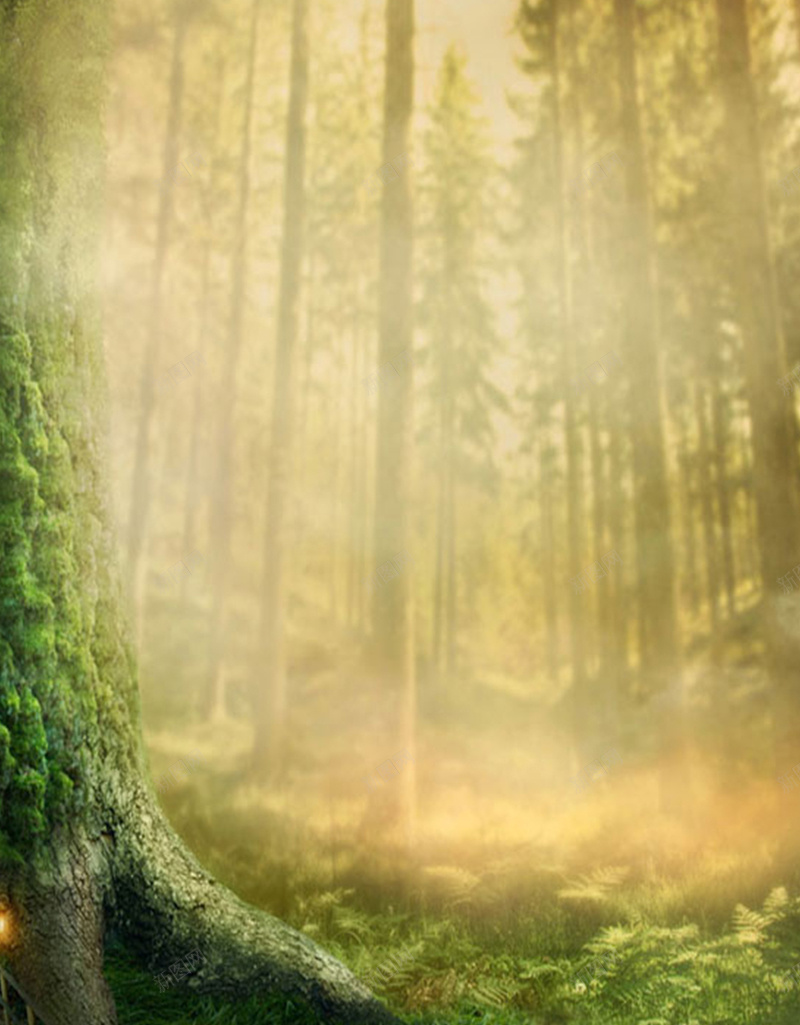 树林深处素材背景jpg设计背景_新图网 https://ixintu.com 大自然 光线 树林 梦幻 绿色 H5素材 开心 快乐 浪漫