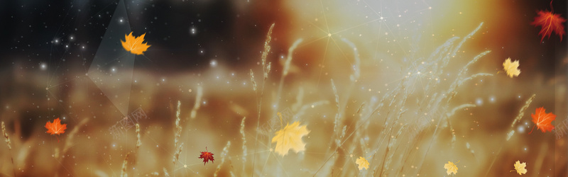 淘宝背景图秋季梦幻落叶枫叶psd设计背景_新图网 https://ixintu.com 淘宝 背景图 秋季 梦幻 落叶 枫叶 秋天 海报banner 摄影 风景
