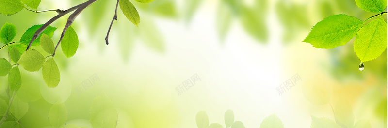 绿色背景psd设计背景_新图网 https://ixintu.com 开心 森林 绿叶 绿色 自然 文艺 小清新 简约