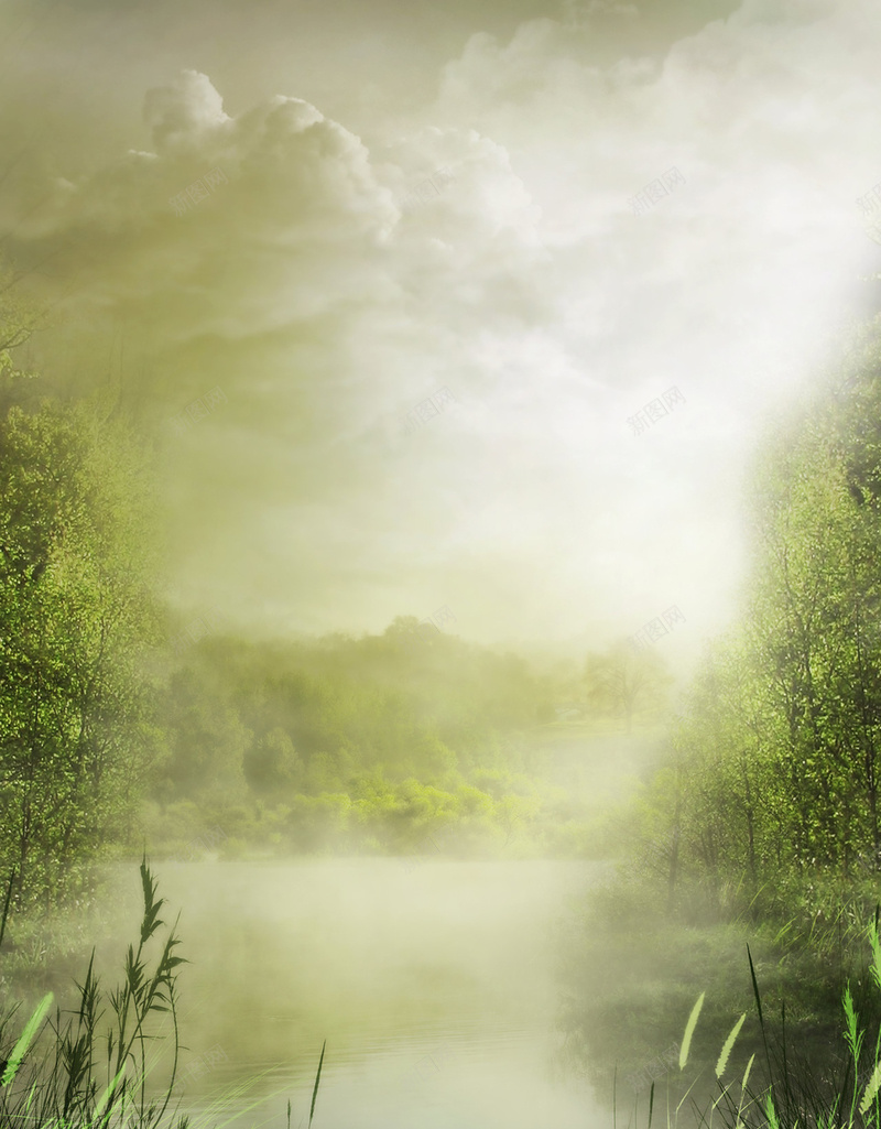 魔幻森林童话背景jpg设计背景_新图网 https://ixintu.com 梦幻 森林 浪漫 童话 魔幻