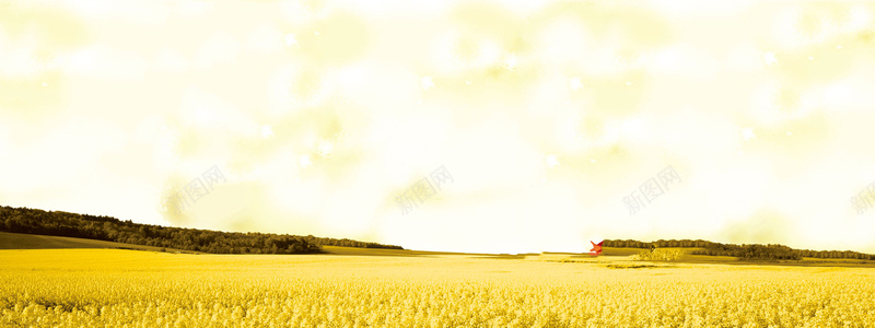 秋天背景麦田jpg设计背景_新图网 https://ixintu.com 海报banner 房子 枫叶 落叶 风车 大气