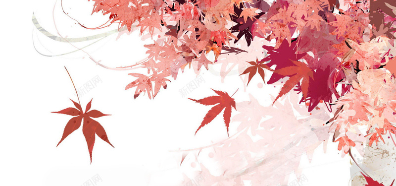 枫叶jpg设计背景_新图网 https://ixintu.com 海报banner 叶子 白色 秋天 红色 卡通 童趣 手绘