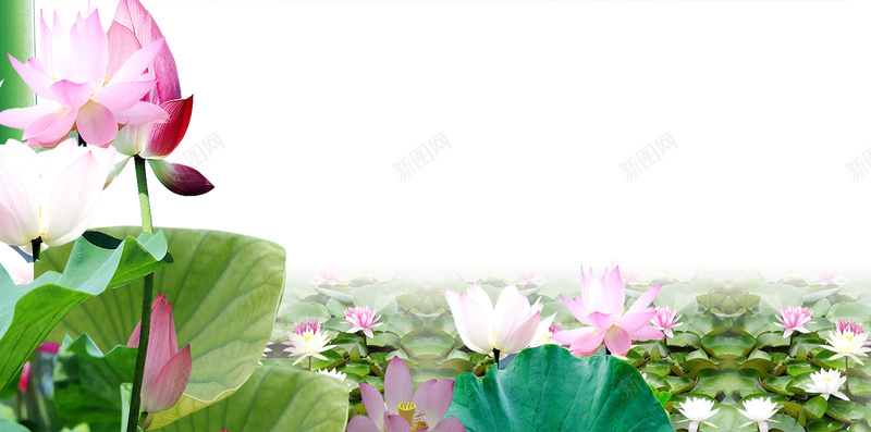 中国风竹叶背景jpg设计背景_新图网 https://ixintu.com 中国风 传统文化 荷花 水墨文化 竹子 古典 露珠