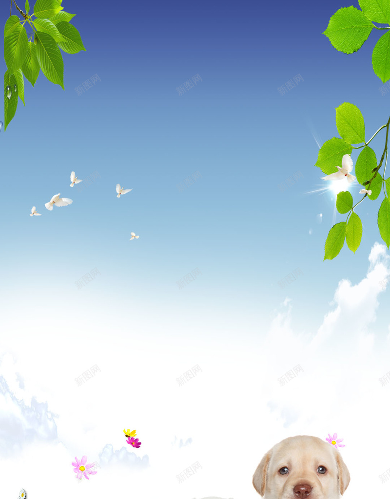 绿色草地上的小狗H5素材背景psd设计背景_新图网 https://ixintu.com 树叶 清新 简约 绿色 草地 动物 H5素材 狗 PSD背景 宠物