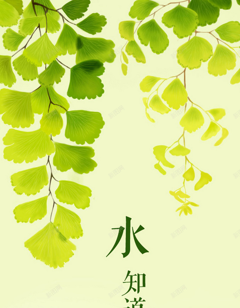 小清新树叶APP手机端H5背景jpg设计背景_新图网 https://ixintu.com APP手机端 H5背景 小清新 手机背景 文艺 春天 树叶 树叶背景 水彩 水知道 简约 银杏叶