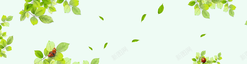 春季清新白色电商海报背景psd设计背景_新图网 https://ixintu.com 春季新品 春天 春季 春夏 女装 淘宝 旅游 春装 春游 报春 叶子 欧式 立春 春暖花开