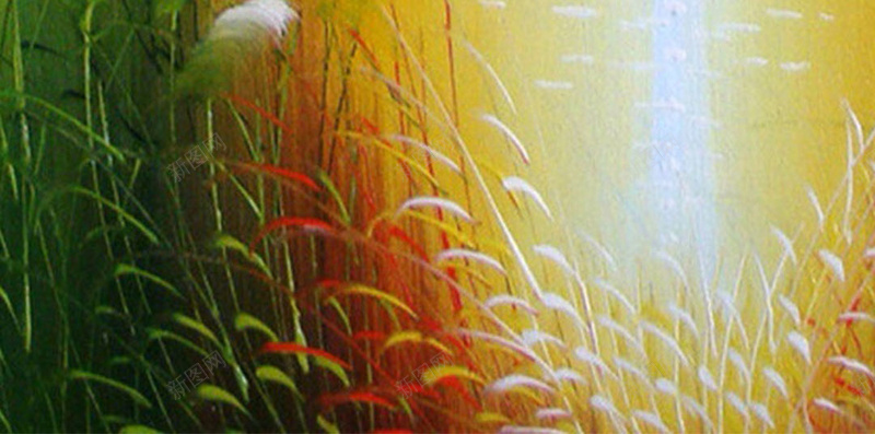 芦苇荡H5素材背景jpg设计背景_新图网 https://ixintu.com 海鸥 唯美 风景 芦苇 摄影 H5素材 水面光线