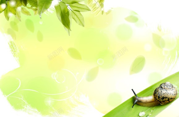 蜗牛绿叶构成的韩国特色清新图片背景