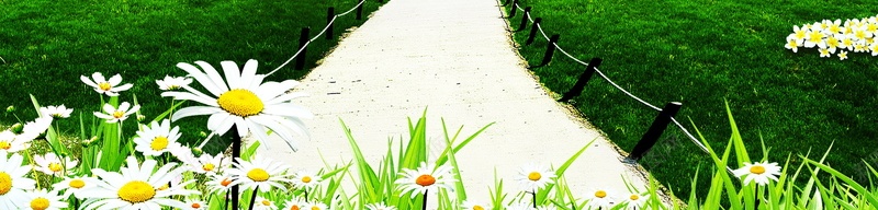 乡村别墅风光广告背景psd设计背景_新图网 https://ixintu.com 白菊花 绿草地 树木 树林 绿叶 乡村别墅风光 乡村小径 蓝天白云 度假别墅 风景 海报 平面 广告 背景 PSD 素材 模板