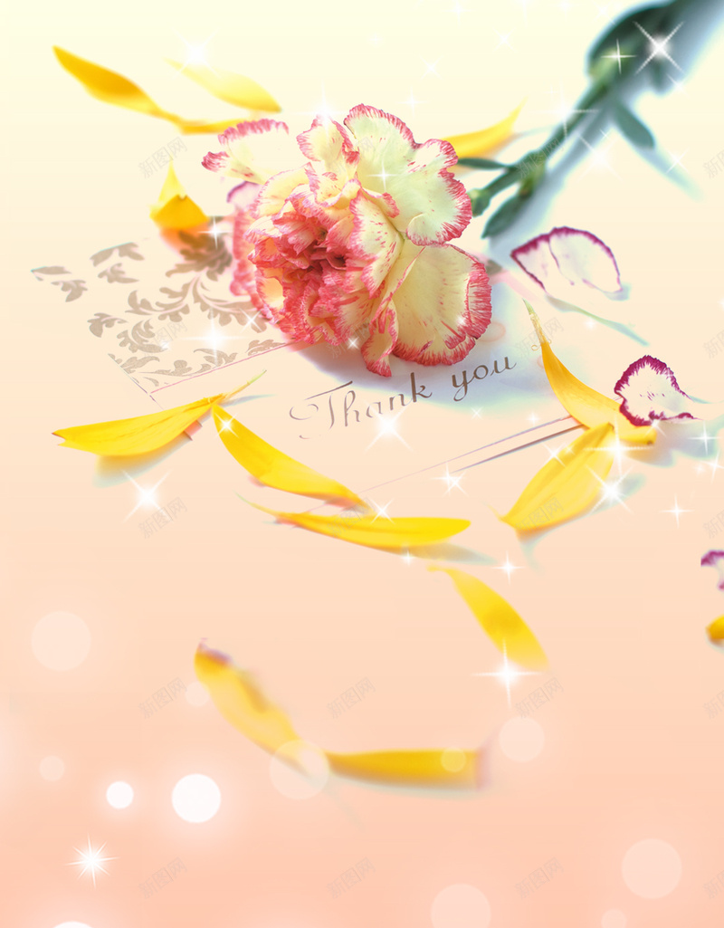 简约38妇女节鲜花PS源文件H5背素材psd设计背景_新图网 https://ixintu.com 38妇女节 康乃馨 简约 花朵 鲜花 甜蜜 母亲节 促销 丝带 PS源文件 H5背素材 鲜花素材