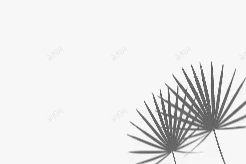 DOOOORcom设计网 17png免抠素材_新图网 https://ixintu.com 设计