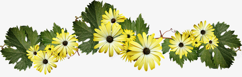 flowers4218571960720花朵png免抠素材_新图网 https://ixintu.com 花朵