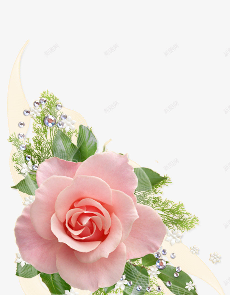 花小png免抠素材_新图网 https://ixintu.com 花小