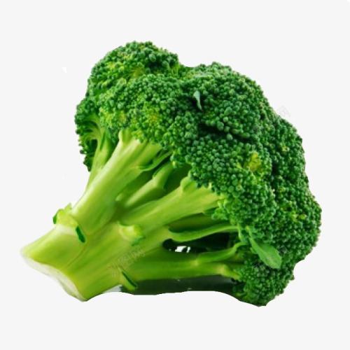 Broccoli 蔬菜png免抠素材_新图网 https://ixintu.com 蔬菜