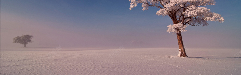 冬天雪地背景图jpg设计背景_新图网 https://ixintu.com 冬天 雪地 背景图 海报banner 质感 纹理