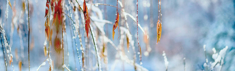 冬天雪景banner创意设计psd设计背景_新图网 https://ixintu.com 天空 山峰 积雪 色彩 路 海报banner 其他