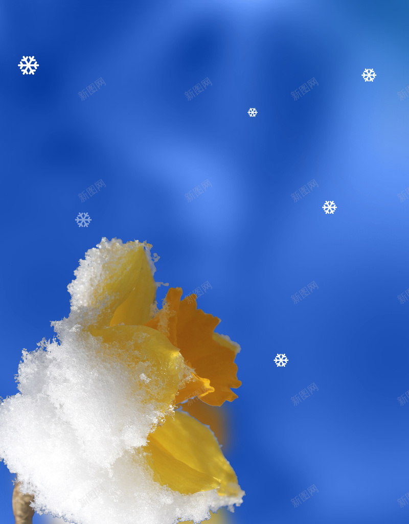 2018蓝色简约大寒节气海报psd设计背景_新图网 https://ixintu.com 二十四节气 节气海报 冬季 大寒 简约 中国传统节气 24节气 2018 雪花
