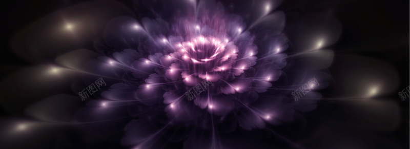梦幻紫色发光的花朵背景背景