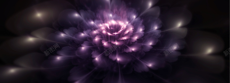 梦幻紫色发光的花朵背景jpg设计背景_新图网 https://ixintu.com 黑背景 发光 梦幻 紫色 花朵 海报banner