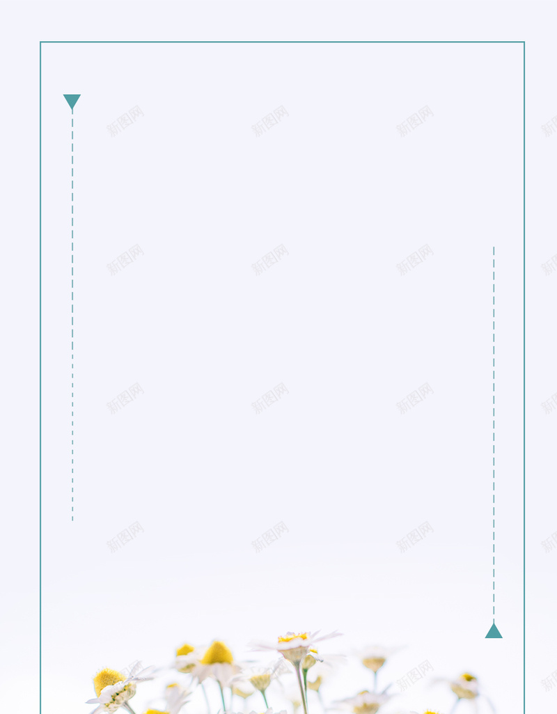 浅蓝色产品上新背景psd设计背景_新图网 https://ixintu.com 浅蓝背景 浅蓝色 上新 产品 花朵 花 菊花 小菊花 杯装花束