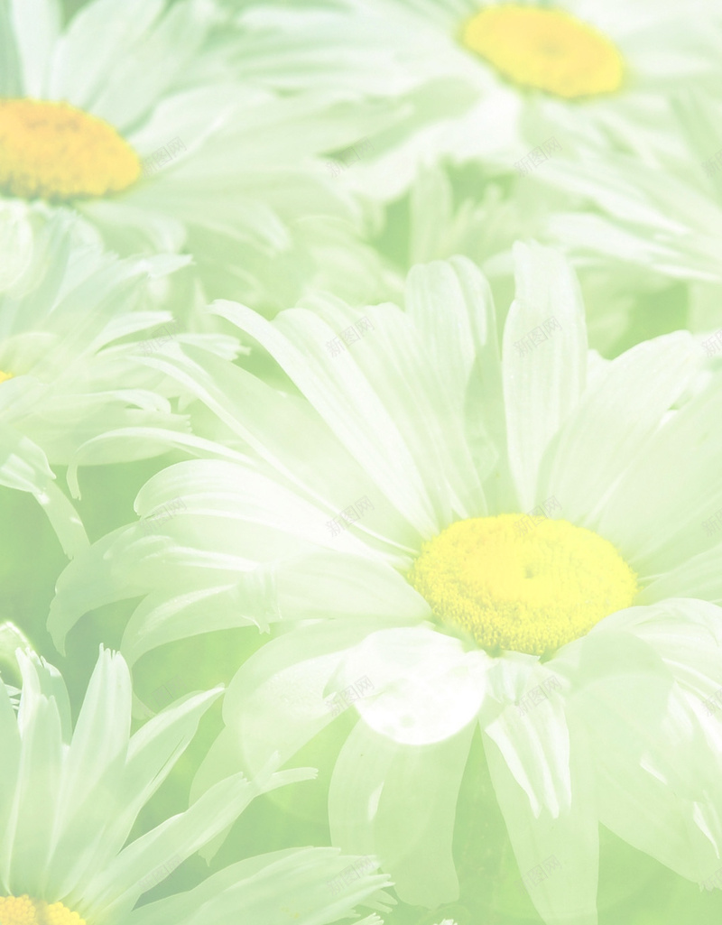 浅绿色花朵背景jpg设计背景_新图网 https://ixintu.com 浅绿色背景 唯美 花卉 花朵 花 文艺 小清新 简约