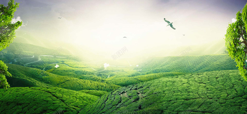 夏季清新唯美茶园背景jpg设计背景_新图网 https://ixintu.com 夏季促销海报 详情页背景 固定背景 淘宝素材 绿色 淘宝首页轮播图片背景 夏季清新唯美背景 banner背景 淘宝全屏海报背景图