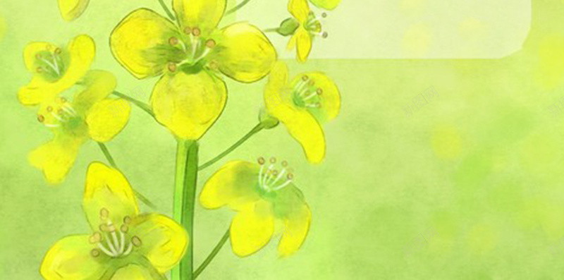油菜花小清新H5背景素材jpg设计背景_新图网 https://ixintu.com 小清新 油菜花 春天 植物 踏青 春游 小清新素材 春天素材 H5背景素材