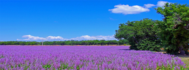 淘宝bannerjpg设计背景_新图网 https://ixintu.com 唯美 家居banner920家居 摄影 摆件 海报banner 清新 清风 清风徐徐 自然风景 风景 风景壁纸 高清风景桌面素材 高清风景桌面素材素雅 高端