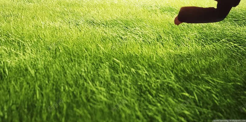 六一儿童节气球背景jpg设计背景_新图网 https://ixintu.com 六一 儿童节 气球 背景 61 摄影 风景