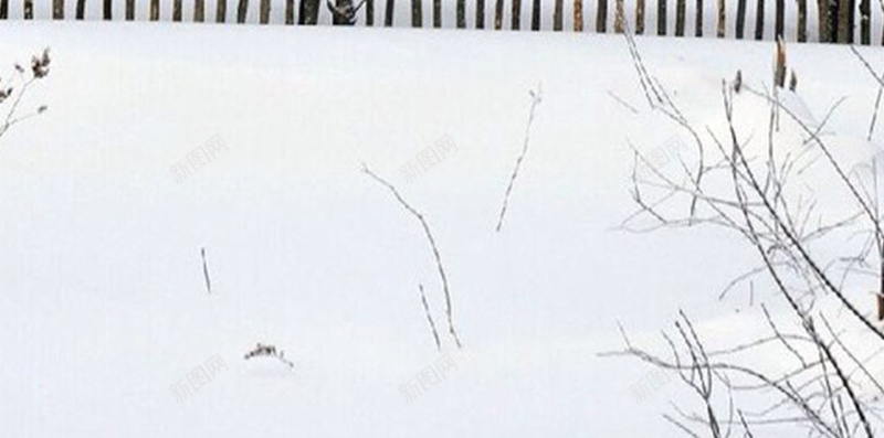 冬至日素材H5素材背景jpg设计背景_新图网 https://ixintu.com 节气 冬至日 冬季 白雪 寒冷 H5素材 中国风