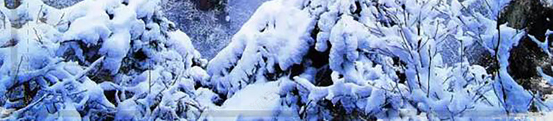 唯美雪景冬天冬令营背景psd设计背景_新图网 https://ixintu.com 冬令营海报 寒假培训班 寒假班招生 冰雪天地 冬令营 寒假冬令营宣传单 招生海报设计图 滑雪 雪花