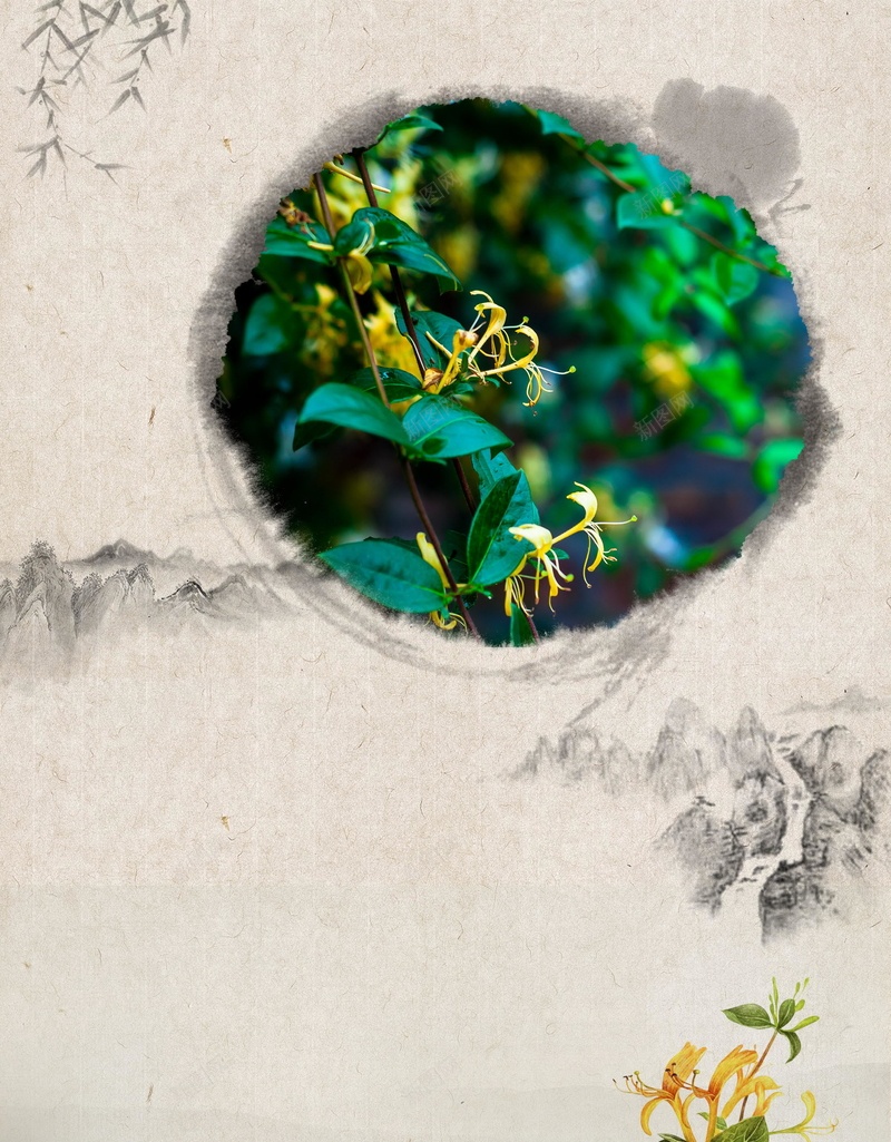清新金银花药材花茶psd设计背景_新图网 https://ixintu.com 金银花茶叶 中药养生 平面设计 金银花茶 金银花 金银花种植 金银花泡茶 野生金银花 分层文件 PSD源文件 150PPI