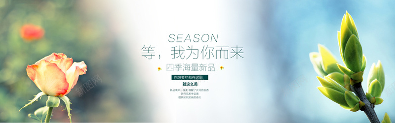 淘宝清新女装夏装春装秋装服装绿色背景bannerpsd设计背景_新图网 https://ixintu.com 夏装 女装 春装 清新 秋装 淘宝 服装 绿色 背景banner 文案 文艺 花 花朵 海报banner 小清新 简约